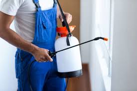 Best Pest Prevention Services  in Town And Country, WA